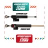 Steering damper for Ausom DT2 Pro, L2, L2 Max, Kugoo F3 Plus or similar  - 13 
Fitment: made for Ausom DT2 Pro, L2, L2 Max, Kugo