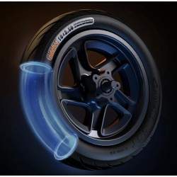 Sukomplektuotas priekinis ratlankis su stabdžių disku Segway F2, F2 Plus, F2 Pro ar panašiai - 10x2,5 colio Segway - Ninebot - 6