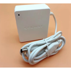 Caricabatteria interno originale per Segway Ninebot W1 Drift - 25v 1,5A  - 1