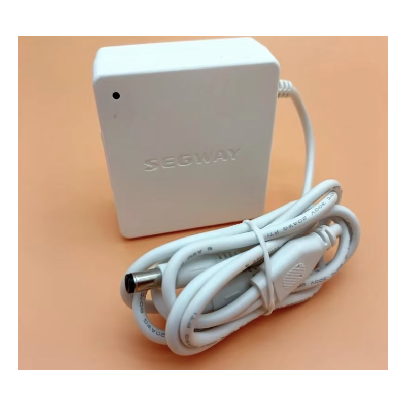 Originaal sisemine akulaadija Segway Ninebot W1 Drift jaoks - 25v 1,5A  - 1 Originaal sisemine akulaadija Segway Ninebot W1 Drif