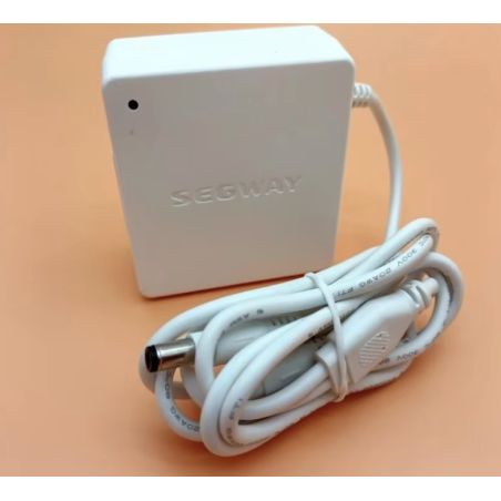 Originele interne batterijlader voor Segway Ninebot W1 Drift - 25v 1.5A  - 1 Originele interne batterijlader voor Segway Ninebot